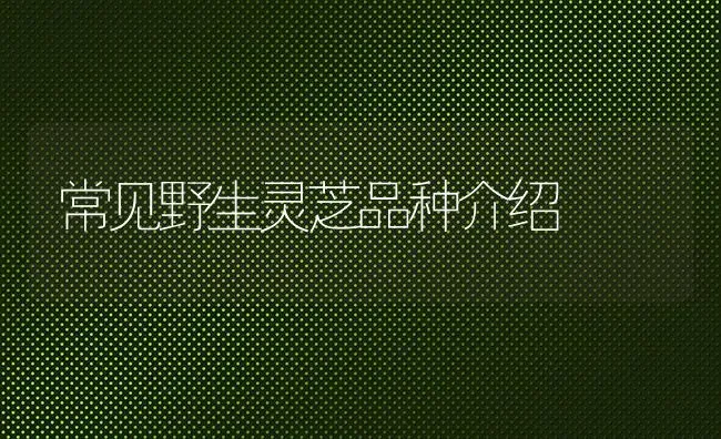 常见野生灵芝品种介绍 | 养殖技术大全