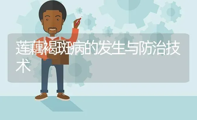 莲藕褐斑病的发生与防治技术 | 养殖技术大全
