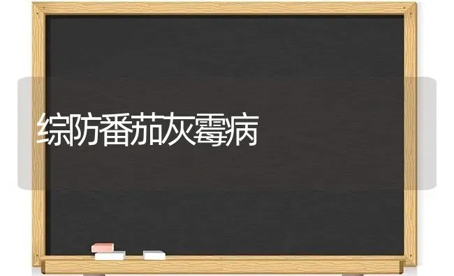 综防番茄灰霉病 | 养殖技术大全