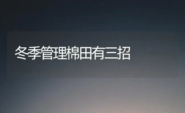 冬季管理棉田有三招 | 养殖技术大全