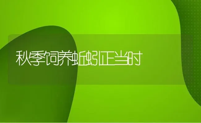 秋季饲养蚯蚓正当时 | 养殖技术大全