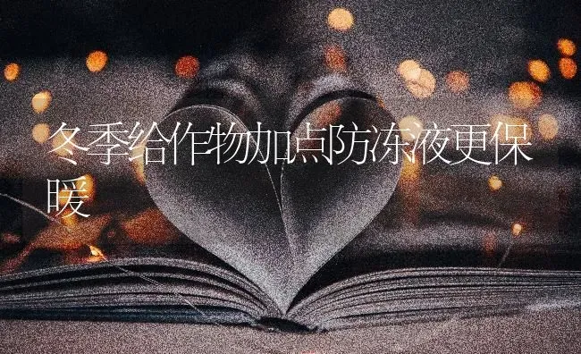 冬季给作物加点防冻液更保暖 | 养殖技术大全