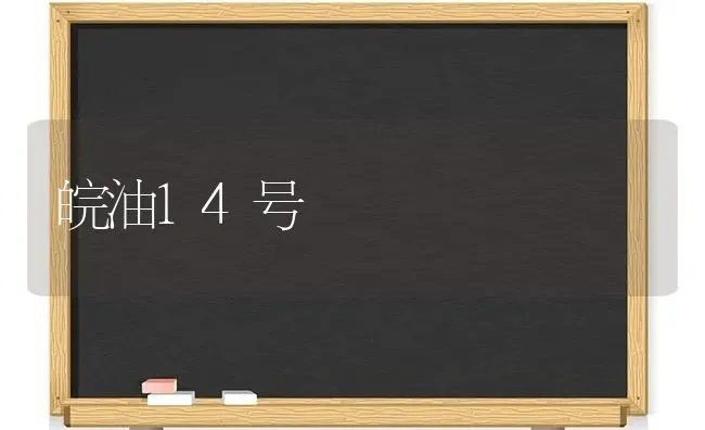 皖油14号 | 养殖技术大全