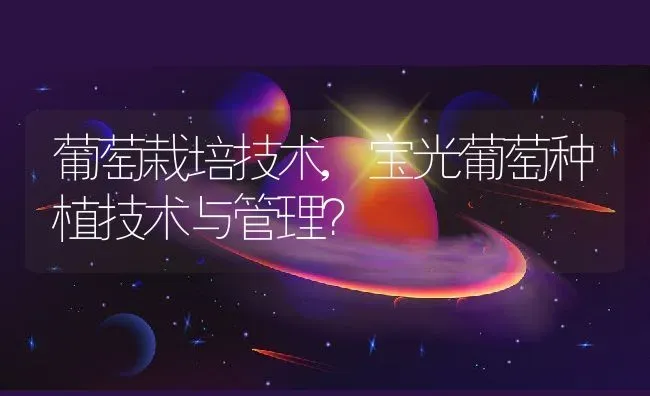 葡萄栽培技术,宝光葡萄种植技术与管理？ | 养殖科普