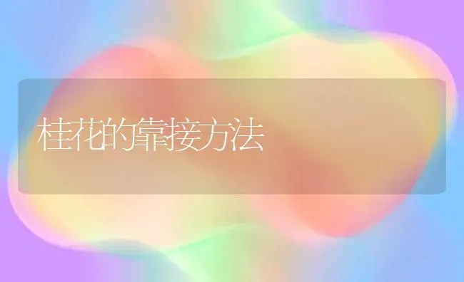 桂花的靠接方法 | 养殖技术大全