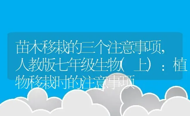 苗木移栽的三个注意事项,人教版七年级生物(上):植物移栽时的注意事项 | 养殖学堂