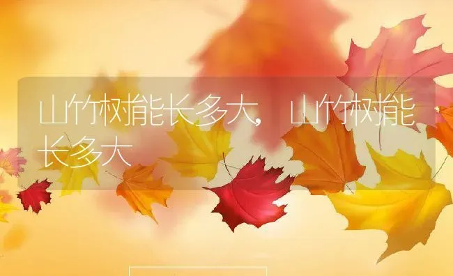 山竹树能长多大,山竹树能长多大 | 养殖科普