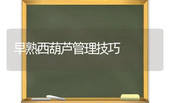 雨水多小心番茄缺硼 | 养殖技术大全