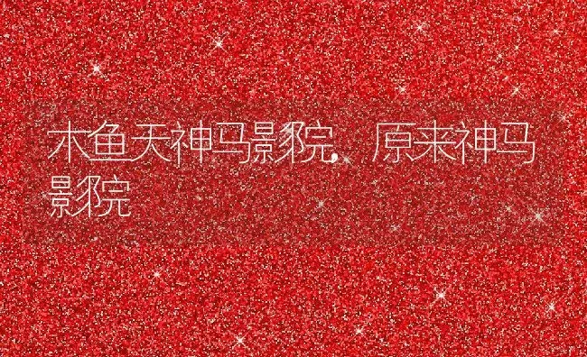 木鱼天神马影院,原来神马影院 | 养殖科普