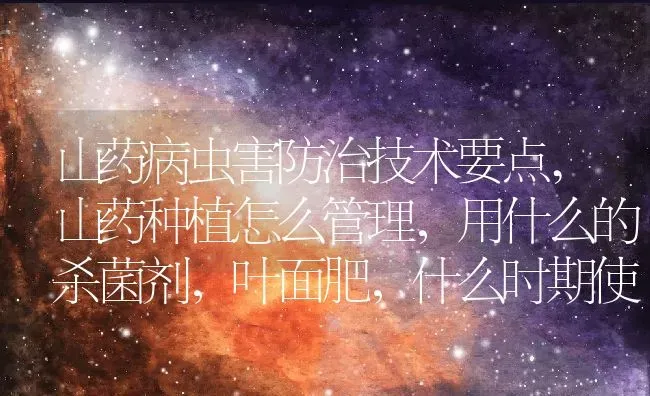 萝卜的种植方法和时间,白萝卜育苗时间和方法 | 养殖学堂