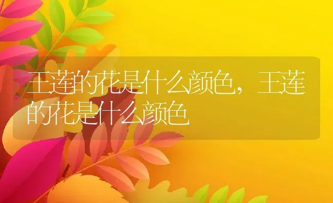 王莲的花是什么颜色,王莲的花是什么颜色 | 养殖科普