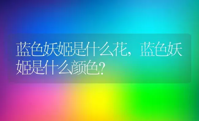 蓝色妖姬是什么花,蓝色妖姬是什么颜色？ | 养殖科普