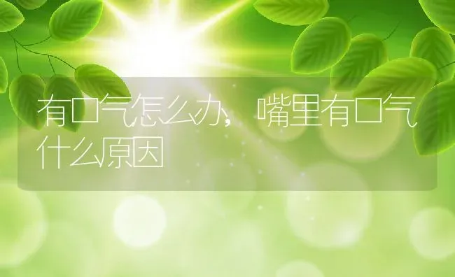 有口气怎么办,嘴里有口气什么原因 | 养殖资料