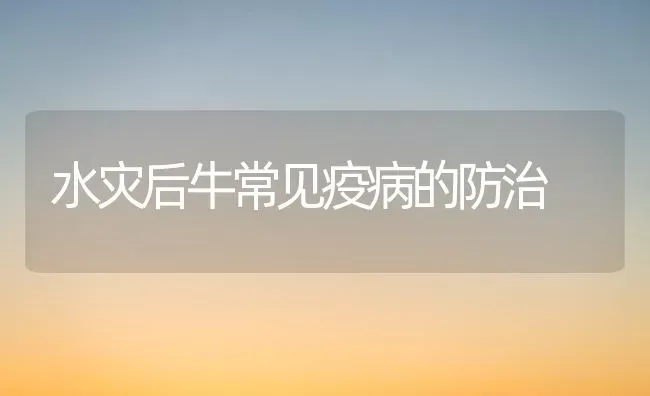 水灾后牛常见疫病的防治 | 养殖知识