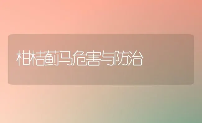 柑桔蓟马危害与防治 | 养殖技术大全