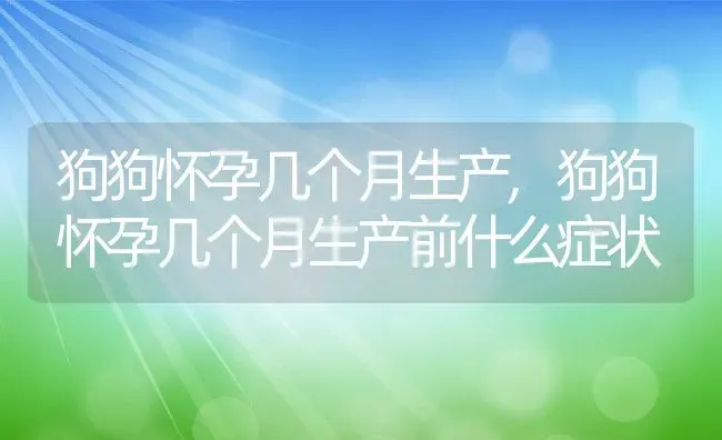 狗狗怀孕几个月生产,狗狗怀孕几个月生产前什么症状 | 养殖科普