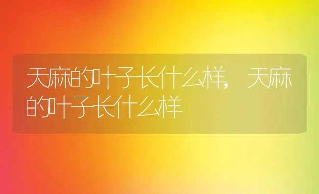 狂犬疫苗多久打,狂犬疫苗多久打才有效 | 养殖资料