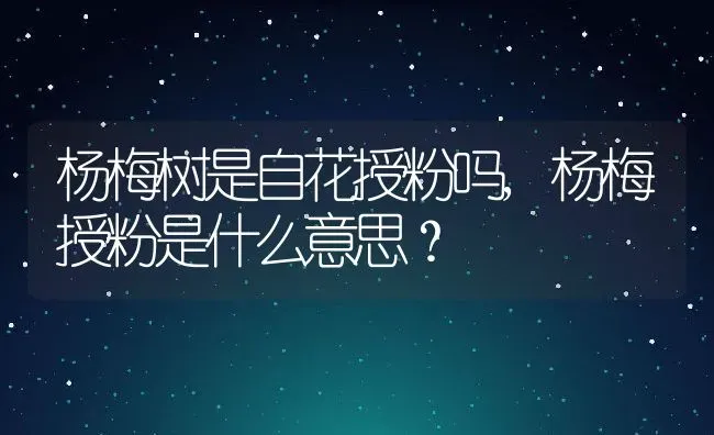 杨梅树是自花授粉吗,杨梅授粉是什么意思？ | 养殖科普