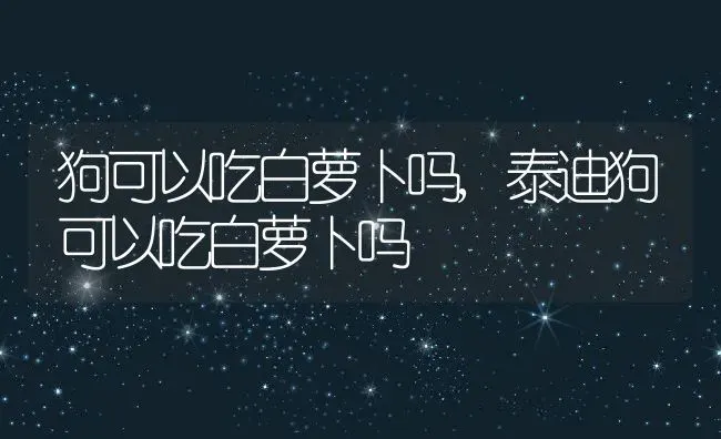 狗可以吃白萝卜吗,泰迪狗可以吃白萝卜吗 | 养殖资料