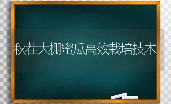 秋茬大棚蜜瓜高效栽培技术 | 养殖技术大全