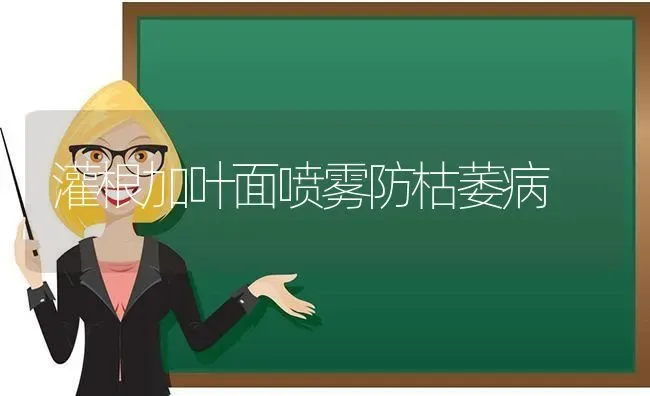 灌根加叶面喷雾防枯萎病 | 养殖知识