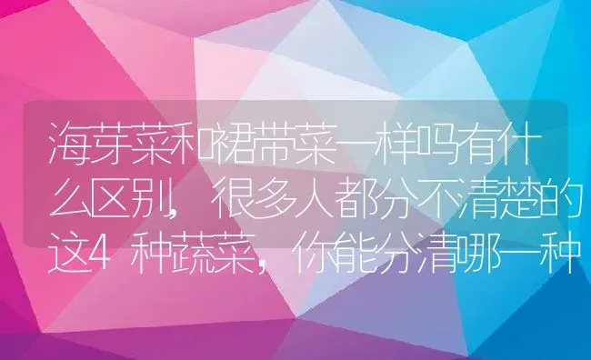 海芽菜和裙带菜一样吗有什么区别,很多人都分不清楚的这4种蔬菜,你能分清哪一种? | 养殖科普