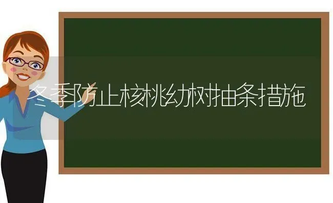 冬季防止核桃幼树抽条措施 | 养殖知识