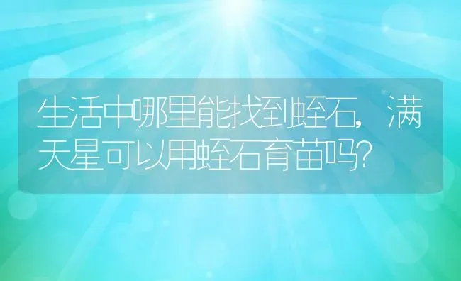 生活中哪里能找到蛭石,满天星可以用蛭石育苗吗？ | 养殖学堂