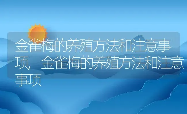 金雀梅的养殖方法和注意事项,金雀梅的养殖方法和注意事项 | 养殖科普