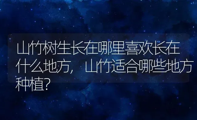 山竹树生长在哪里喜欢长在什么地方,山竹适合哪些地方种植？ | 养殖科普