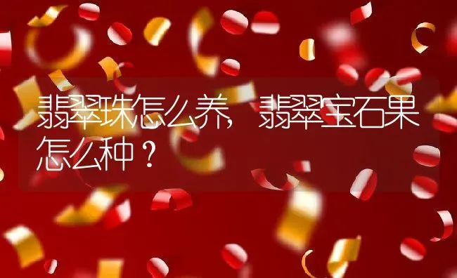 翡翠珠怎么养,翡翠宝石果怎么种？ | 养殖科普