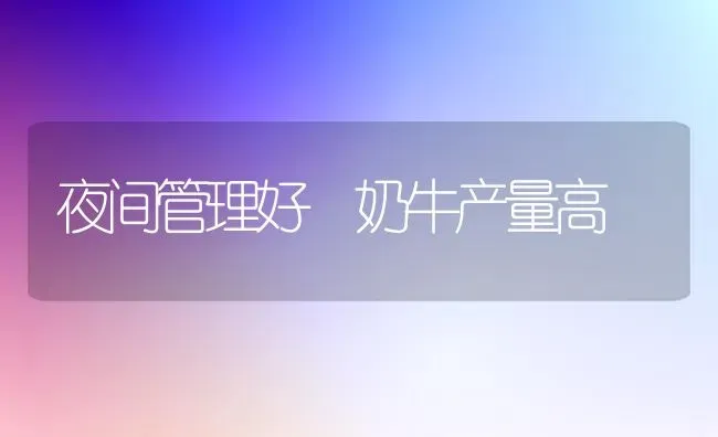 夜间管理好 奶牛产量高 | 养殖技术大全