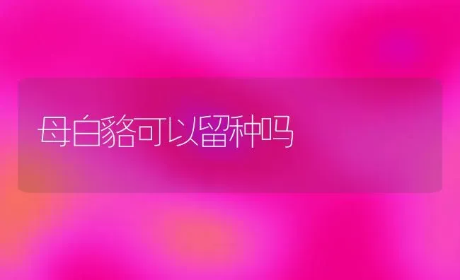 母白貉可以留种吗 | 养殖知识