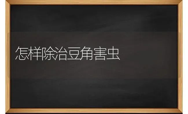 怎样除治豆角害虫 | 养殖技术大全