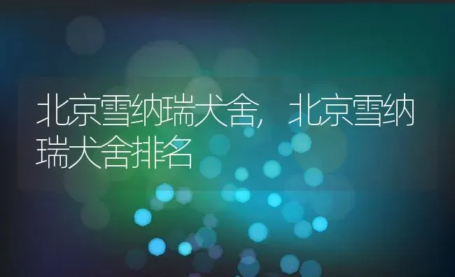 北京雪纳瑞犬舍,北京雪纳瑞犬舍排名 | 养殖资料