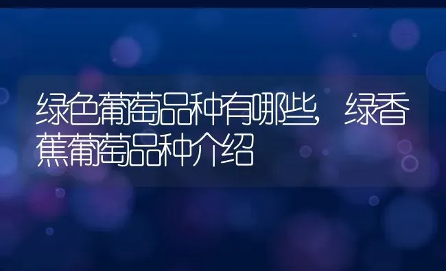 花生亩产量一般多少斤每亩花生产量及收入,花生亩产量一般多少斤每亩花生产量及收入 | 养殖科普