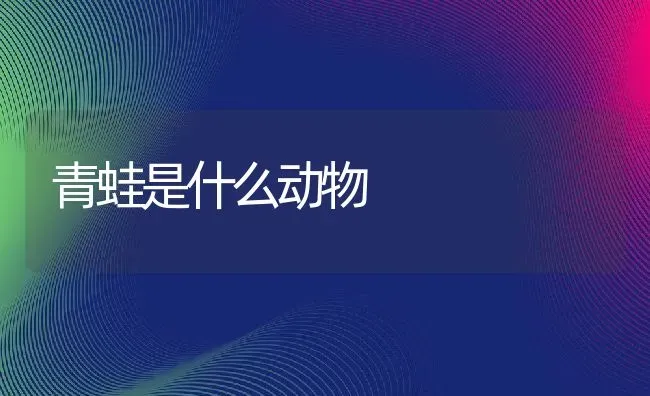 青蛙是什么动物 | 养殖资料