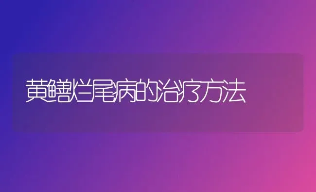 黄鳝烂尾病的治疗方法 | 养殖技术大全