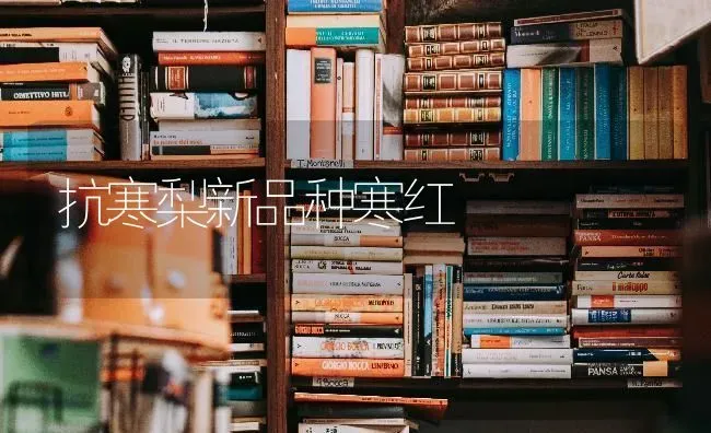 抗寒梨新品种寒红 | 养殖技术大全