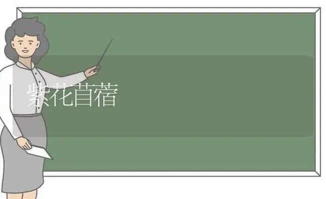 紫花苜蓿 | 养殖技术大全