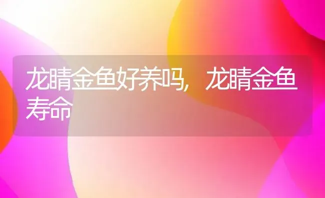 龙睛金鱼好养吗,龙睛金鱼寿命 | 养殖资料