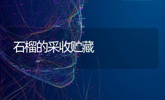 石榴的采收贮藏 | 养殖技术大全