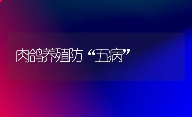 肉鸽养殖防“五病” | 养殖技术大全