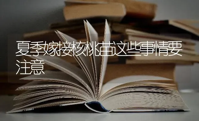 夏季嫁接核桃苗这些事情要注意 | 养殖技术大全