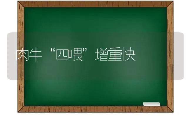 肉牛“四喂”增重快 | 养殖知识