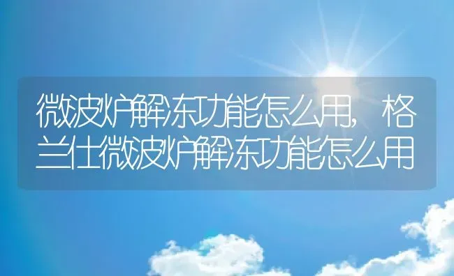 微波炉解冻功能怎么用,格兰仕微波炉解冻功能怎么用 | 养殖科普