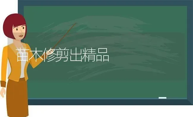 苗木修剪出精品 | 养殖知识