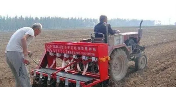 小麦播种前常见的几个种子处理方法 | 妙招大全
