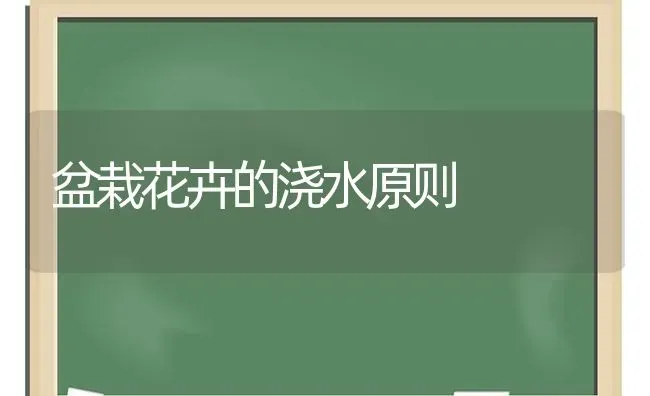 盆栽花卉的浇水原则 | 养殖技术大全