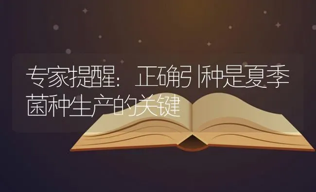 专家提醒：正确引种是夏季菌种生产的关键 | 养殖知识